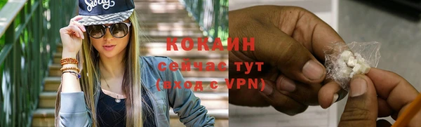 хмурый Бородино