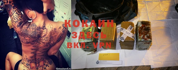 дурь Осташков