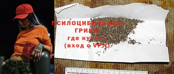 хмурый Бородино