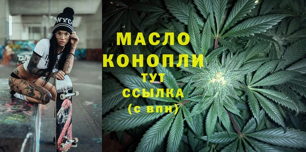 хмурый Бородино